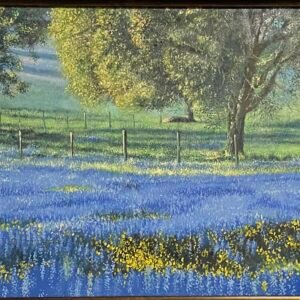 a bull in a meadow standing among bluebonnets