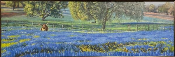 a bull in a meadow standing among bluebonnets